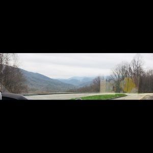 Meet your Posher, Holly